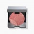 Триколірні рум'яна для обличчя BLUSHER POWDER №02 12,5g
