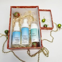 Набор 25+ (Тоник 50мл, пенка 50мл и крем 30мл) NanoeStetic